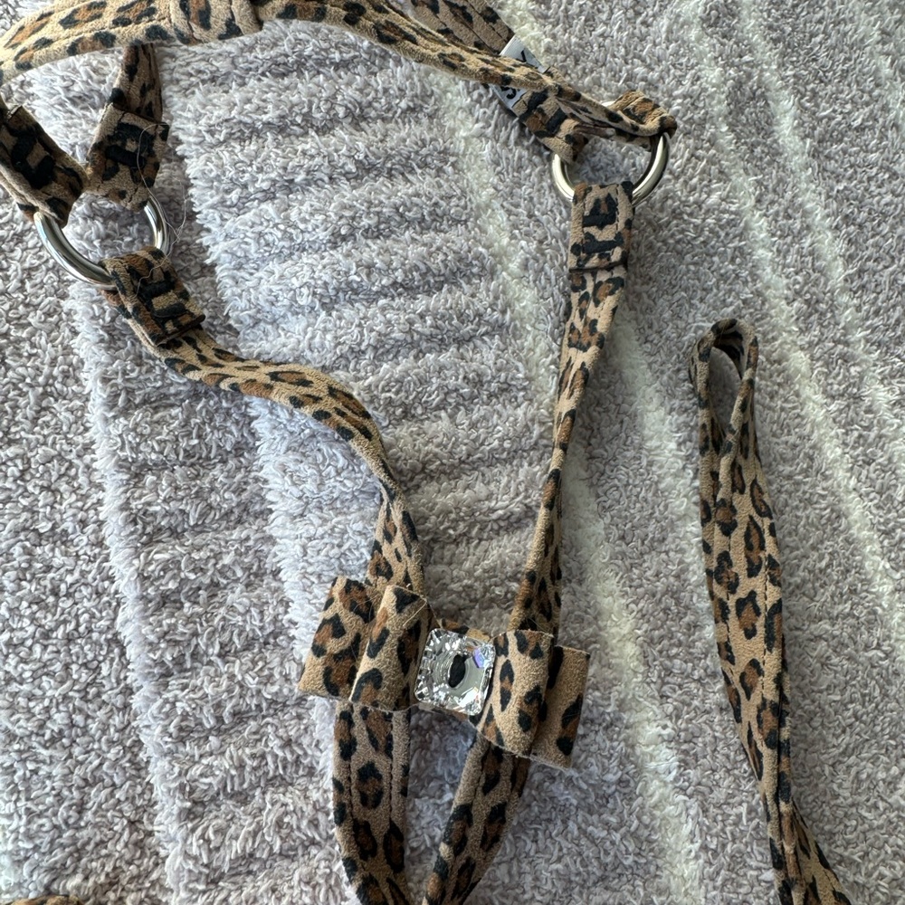 Leopard Print Dog Harness and Leash Set